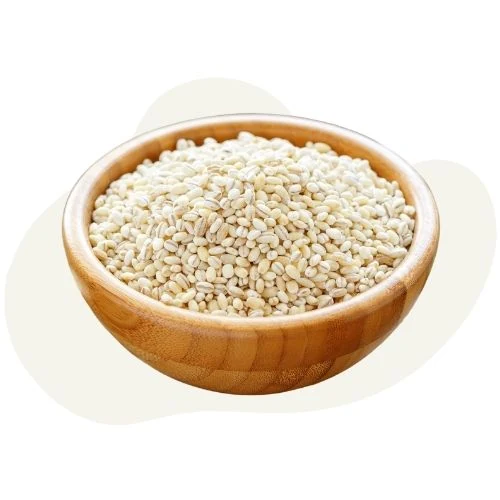 ro 2025 09 barley