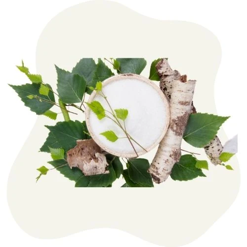 ro 2025 09 birch leaf
