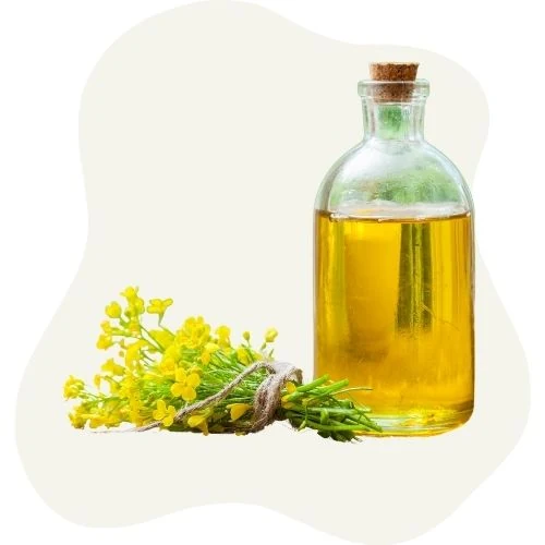 ro 2025 09 canola