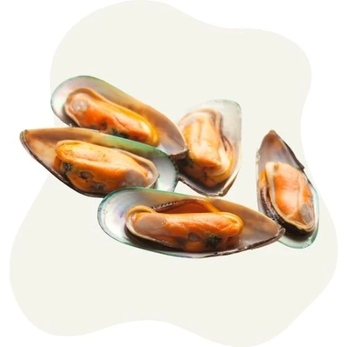 ro 2025 09 green lipped mussel