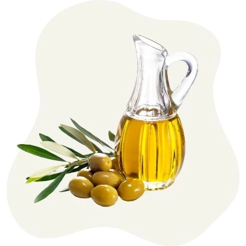 ro 2025 09 olive oil