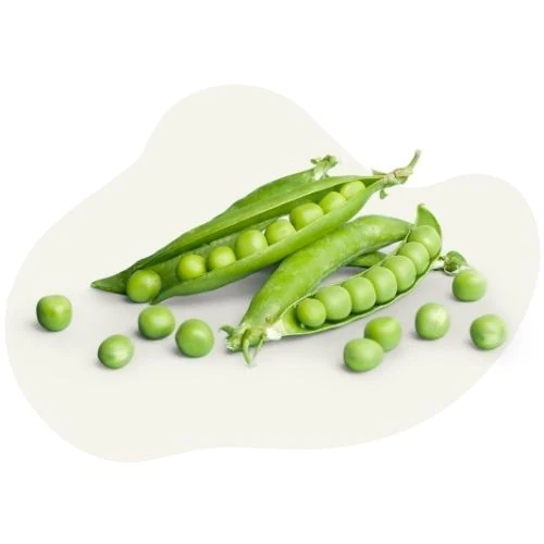 ro 2025 09 peas