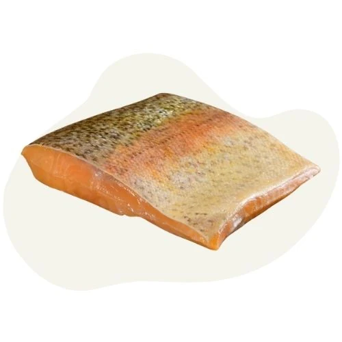 ro 2025 09 trout