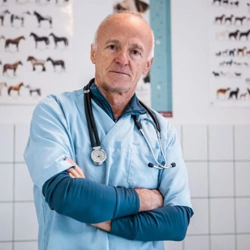 ro 2025 09 veterinary