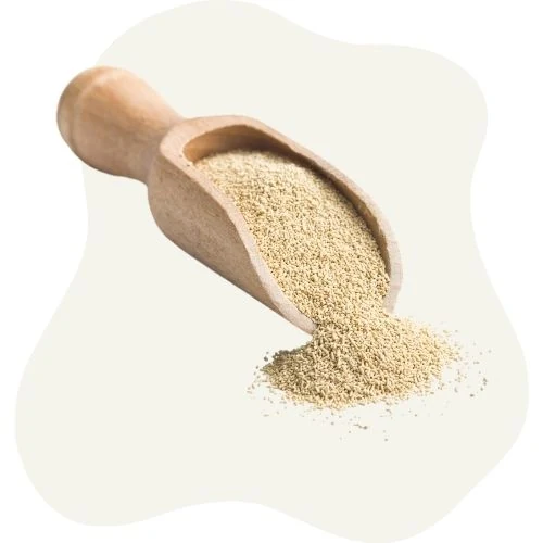 ro 2025 09 yeast