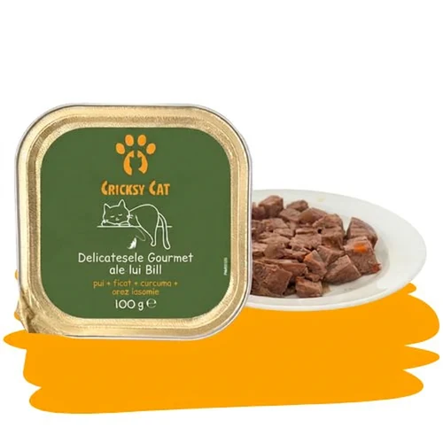 Cele mai delicioase conserve umede pentru fiecare pisică 4 ro 2026 05 CricksyCat Bill CSM